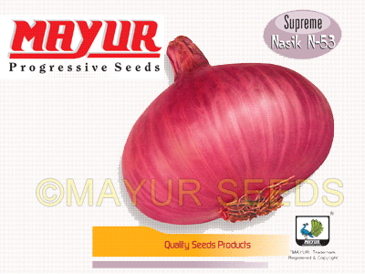 N-53 Dark Red Onion Seeds