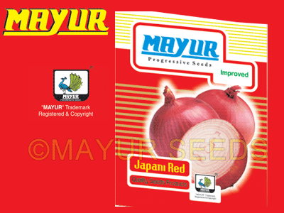 Japani Red Onion Seeds