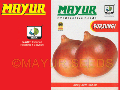 Fursungi Onion Seeds