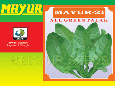 Mayur-21 Spinach Seeds