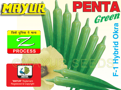 Mayur Pentagreen Bhindi Seeds