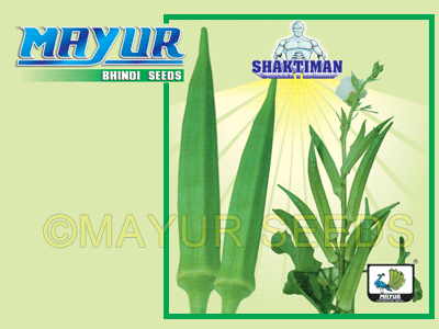 Mayur Shaktiman Bhindi Seeds