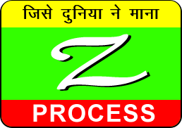 International Z Process- mayurseed.com